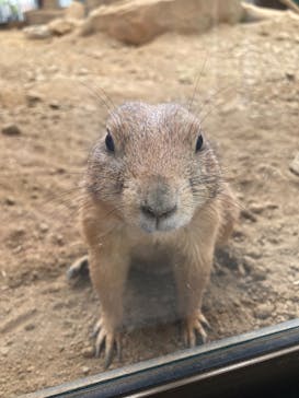 那須どうぶつ王国に投稿された画像（2024/8/26）