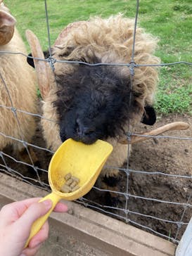 那須どうぶつ王国に投稿された画像（2024/8/26）