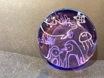 ちいさな硝子の本の博物館に投稿された画像（2024/8/26）