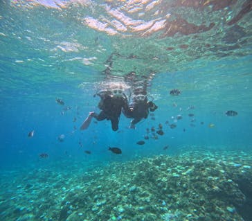 沖縄マリンサービス碧に投稿された画像（2024/8/26）