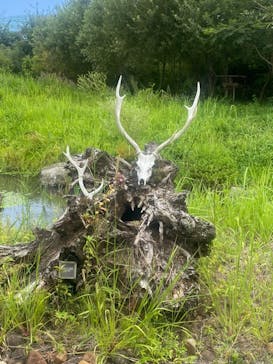 環境水族館アクアマリンふくしまに投稿された画像（2024/8/26）