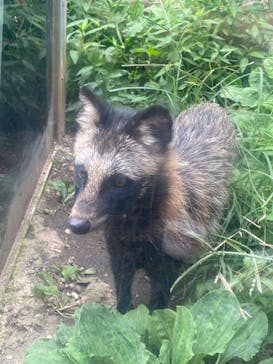 環境水族館アクアマリンふくしまに投稿された画像（2024/8/26）