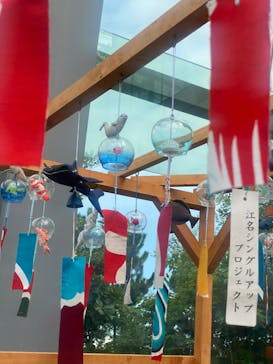 環境水族館アクアマリンふくしまに投稿された画像（2024/8/26）