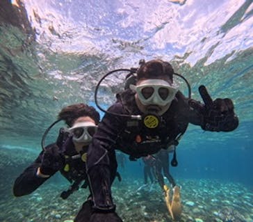 沖縄マリンサービス碧に投稿された画像（2024/8/26）