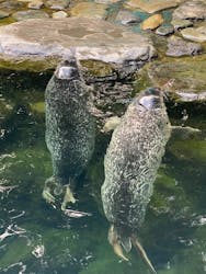 箱根園水族館に投稿された画像（2024/8/26）