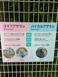 箱根園水族館に投稿された画像（2024/8/26）