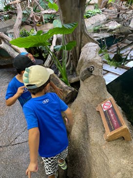 那須どうぶつ王国に投稿された画像（2024/8/26）