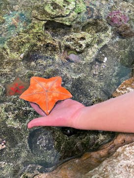 島根県立 しまね海洋館に投稿された画像（2024/8/26）