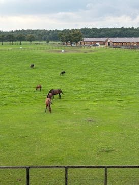 ノーザンホースパークに投稿された画像（2024/8/26）