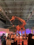 巨大恐竜展2024に投稿された画像（2024/8/26）