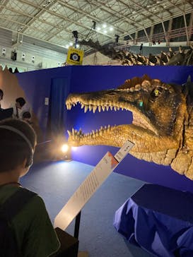 巨大恐竜展2024に投稿された画像（2024/8/26）