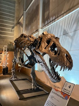 巨大恐竜展2024に投稿された画像（2024/8/26）