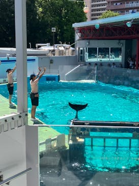 しながわ水族館に投稿された画像（2024/8/26）