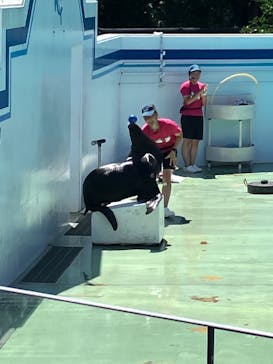 しながわ水族館に投稿された画像（2024/8/26）