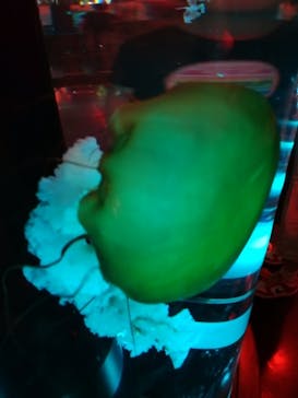 マクセル アクアパーク品川に投稿された画像（2024/8/26）