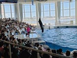 アクアワールド茨城県大洗水族館に投稿された画像（2024/8/26）