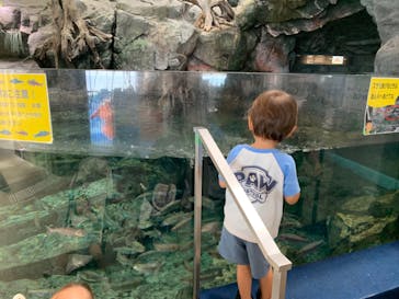 アクアワールド茨城県大洗水族館に投稿された画像（2024/8/26）