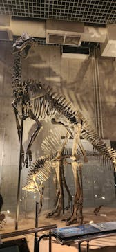 国立科学博物館に投稿された画像（2024/8/26）