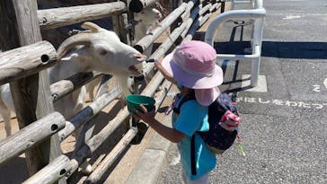 到津の森公園に投稿された画像（2024/8/26）