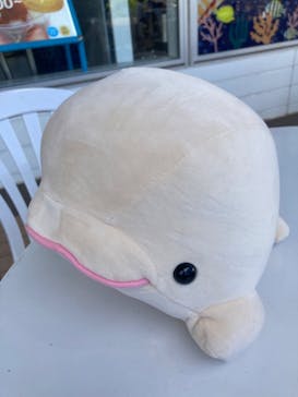 横浜・八景島シーパラダイスに投稿された画像（2024/8/26）