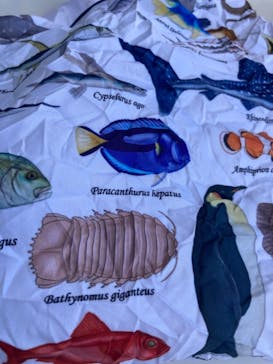 横浜・八景島シーパラダイスに投稿された画像（2024/8/26）