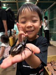 体感するファーブル昆虫展in横浜赤レンガ倉庫に投稿された画像（2024/8/26）