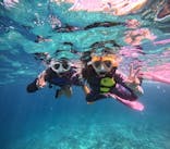 沖縄マリンサービス碧に投稿された画像（2024/8/26）