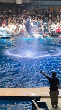 マクセル アクアパーク品川に投稿された画像（2024/8/26）