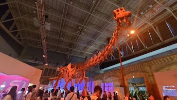 巨大恐竜展2024に投稿された画像（2024/8/26）