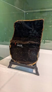 巨大恐竜展2024に投稿された画像（2024/8/26）