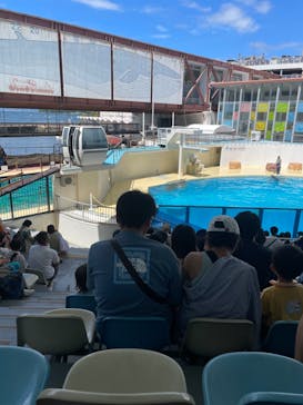 伊豆・三津シーパラダイスに投稿された画像（2024/8/26）