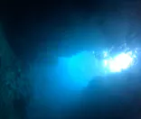 武藤潜水に投稿された画像（2024/8/26）