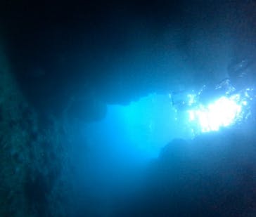 武藤潜水に投稿された画像（2024/8/26）