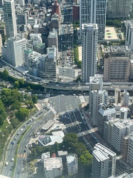 東京タワーに投稿された画像（2024/8/26）