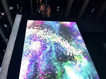 モネ＆フレンズ・アライブに投稿された画像（2024/8/26）