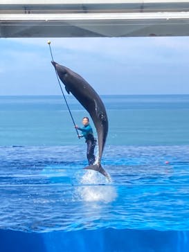 上越市立水族博物館 うみがたりに投稿された画像（2024/8/26）