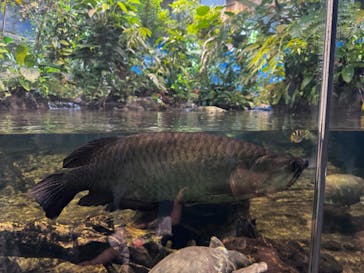 名古屋港水族館に投稿された画像（2024/8/26）