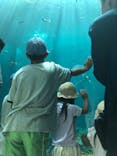 下田海中水族館に投稿された画像（2024/8/26）