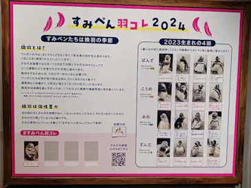 すみだ水族館に投稿された画像（2024/8/26）