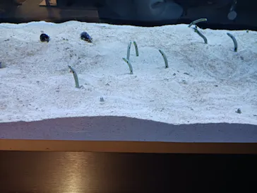 すみだ水族館に投稿された画像（2024/8/26）