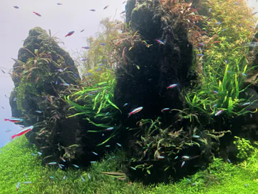 すみだ水族館に投稿された画像（2024/8/26）