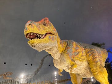 福井県立恐竜博物館に投稿された画像（2024/8/26）