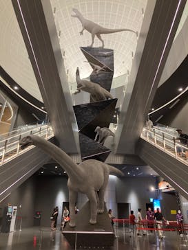 福井県立恐竜博物館に投稿された画像（2024/8/26）