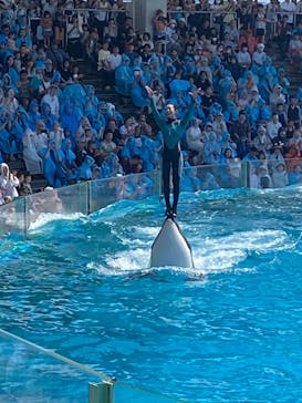 鴨川シーワールドに投稿された画像（2024/8/26）