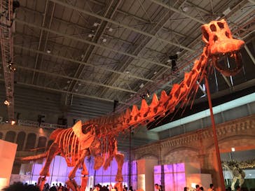 巨大恐竜展2024に投稿された画像（2024/8/26）