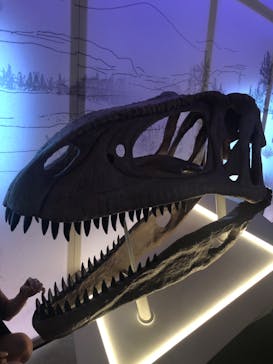 巨大恐竜展2024に投稿された画像（2024/8/26）