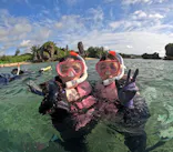 武藤潜水に投稿された画像（2024/8/26）