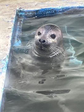 伊豆・三津シーパラダイスに投稿された画像（2024/8/26）