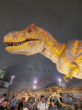 福井県立恐竜博物館に投稿された画像（2024/8/26）