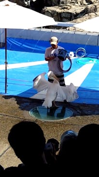 大分マリーンパレス水族館 「うみたまご」に投稿された画像（2024/8/26）